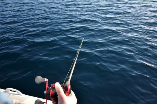 Canne à action parabolique pour pêcher au tenya