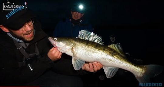 De nombreux poissons de plus de 80cm ont été pris dans cet épisode mais aucun record !