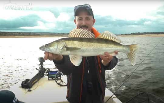 Sur Valdecanas, la pêche se concentre essentiellement sur le sandre.