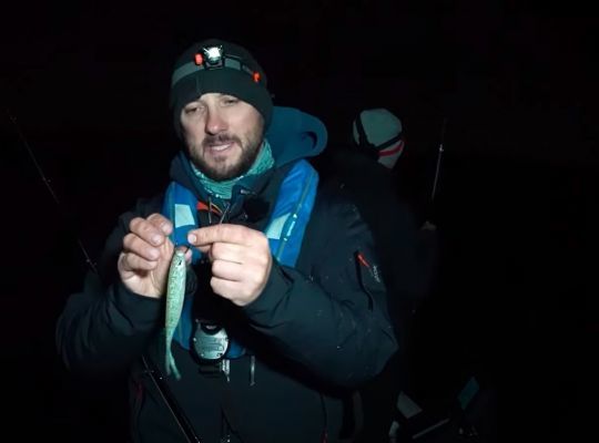 Toutes les équipes pêchent en linéaire mais Freddy Harbort utilise aussi la pêche en drop shot.