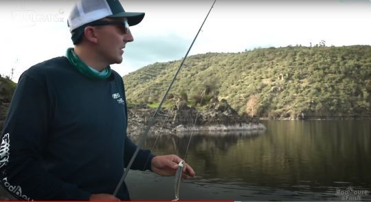 Les lacs espagnols regorgent d'ablettes et un coloris bleu est alors très efficace mais face à des sandres opportunistes ce n'est pas le facteur clef.