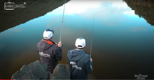 Le premier spot est constitué d'une falaise rocheuse suivie d'un plateau. Les plus gros sandres étaient au pied de la falaise ce qui rendait la tâche compliquée.