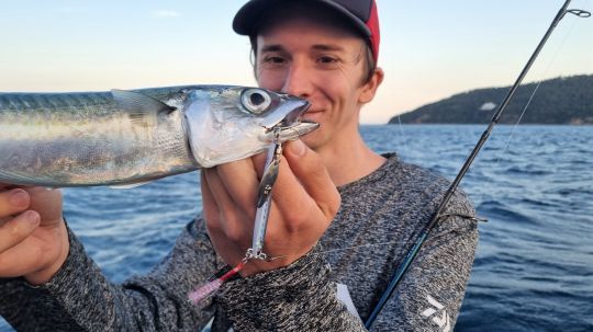 Une palette imite les reflets des petits poissons
