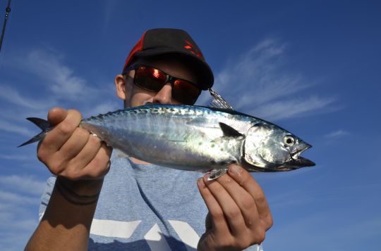 Pour pêcher différents poissons pélagiques