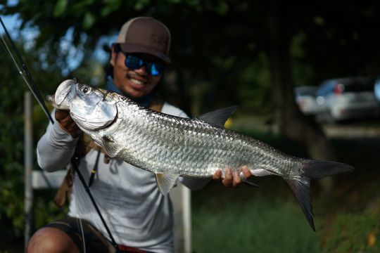 L'émotion du premier tarpon à la mouche