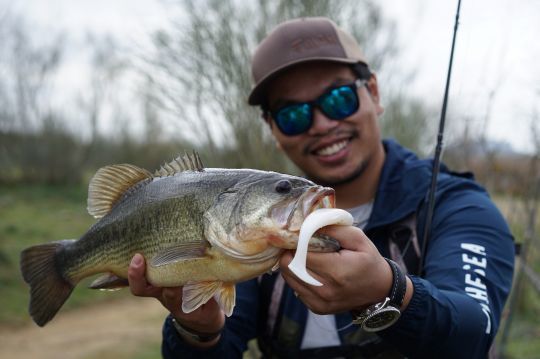 Premier black-bass espagnol au Blaster Shad
