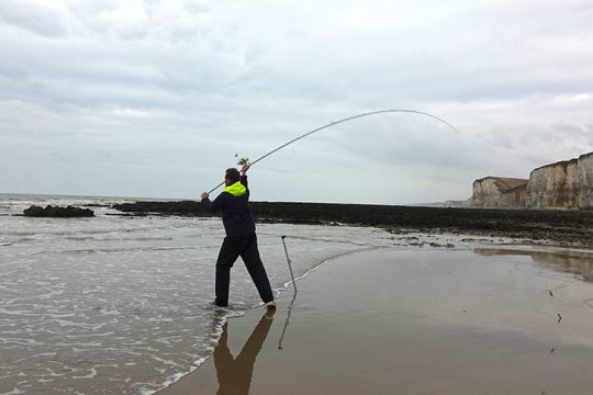 Impossible d'éviter les bars lors d'une pêche du bord, en particulier au tout-venant