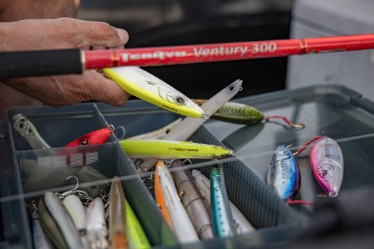 L'importance de sélectionner le bon matériel pour pêcher les liches