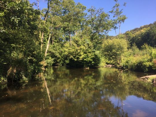 Petite rivière des Bouches du Rhône très bien peuplée en carpes