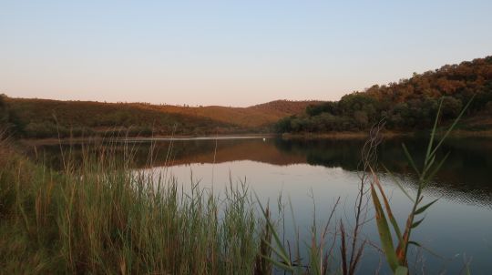 Le coup du soir en été est préférable pour trouver de l'activité notamment en surface