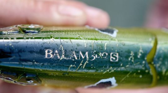 Leurre Balam coulant ou sinking