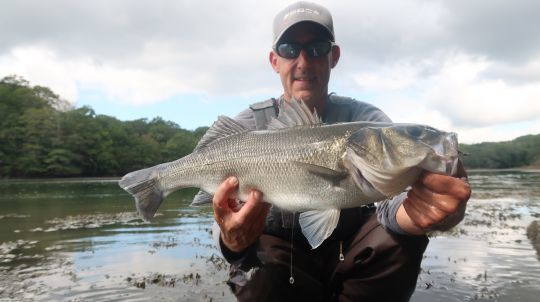 Prendre de gros bars à vue est toujours un challenge et nous rappelle la pêche tropicale des flats!