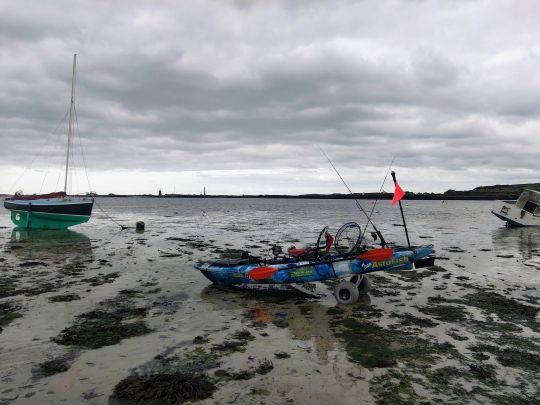 L'importance du chariot de portage