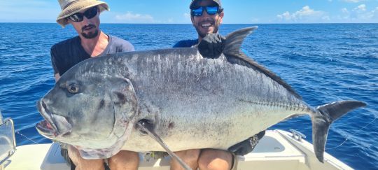 Se mesurer à des poissons puissants