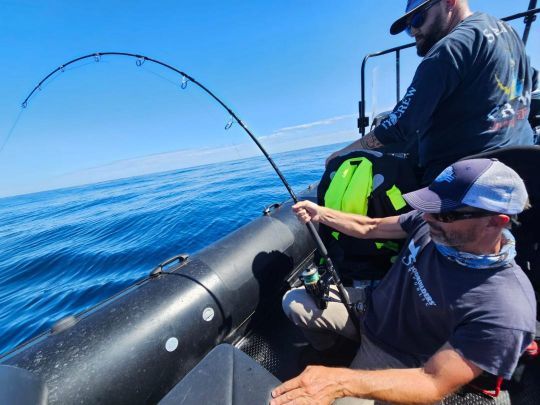 Le Saltiga est le concurrent direct du Stella. Il ne souffre lui aussi d'aucun défaut et offre un grand confort de pêche.