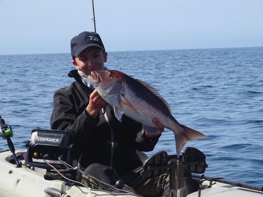 Pêcher le denti selon la saison