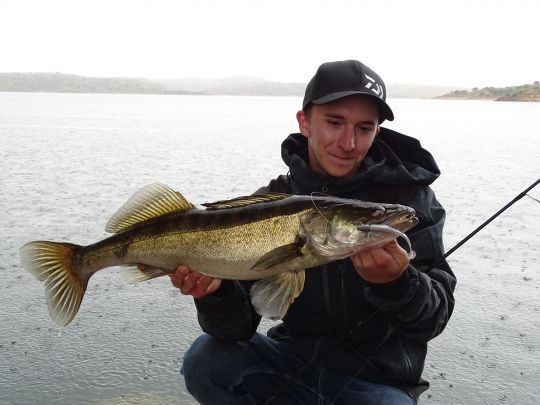 Pêcher le sandre pendant l'hiver