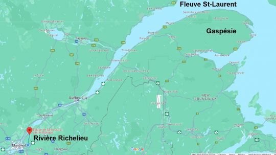 Le bar rayé s'acclimate bien à l'eau douce.