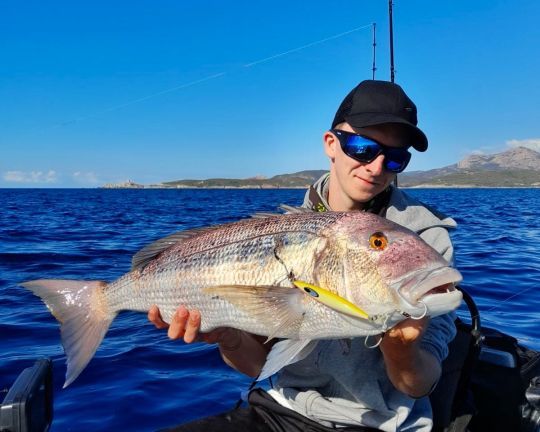 Denti sur Saltica SK Jig de chez Daiwa