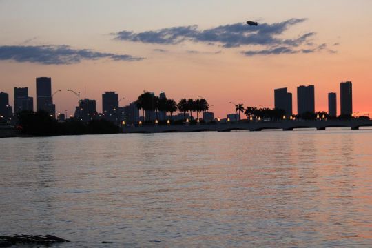 Miami est une superbe destination pour la pêche.