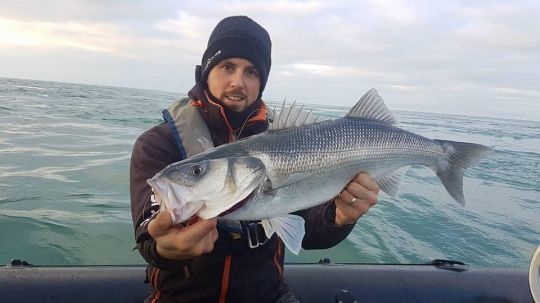 Si tout est bien réussi, les poissons ne sont pas longs à réagir !