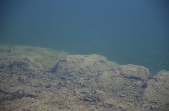 Pêcher le sandre sur les tombants