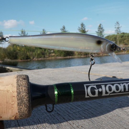 Les jerk minnows sont nombreux à posséder la même densité que l'eau, cela leur permet de rester stationnaire lors des pauses et de déclencher l'agressivité des prédateurs.