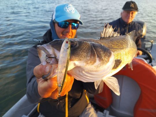 Faire prendre du poisson à ses clients