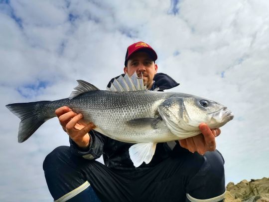 Quand je capture un poisson, je note le moment de marée afin de le retrouver par la suite sur le marégraphe.