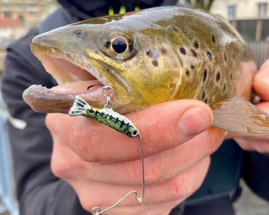 Prendre du plaisir à pêcher avec un leurre conçu par soi-même