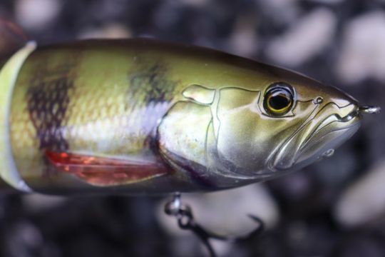 La couleur Rt Perch ressemble à une vraie perche !