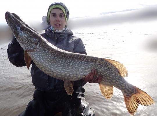 Le plaisir de leurrer de beaux poissons