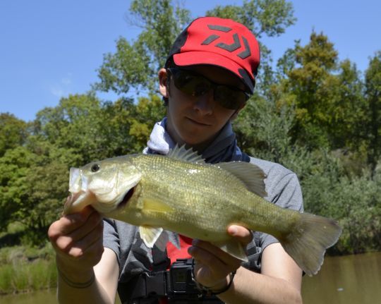 Le black-bass, une espèce à pêcher à l'aide des créatures