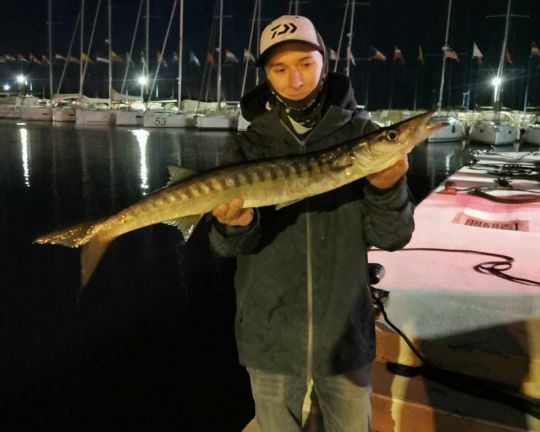 Un beau barracuda pris du bord