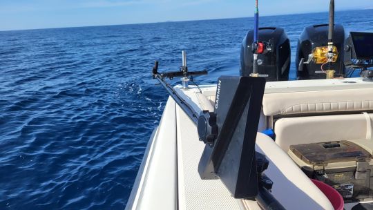 Pêcher avec un sondeur Live
