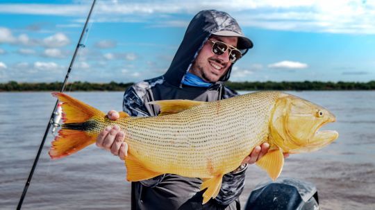 Pêche du dorado, sensations garanties