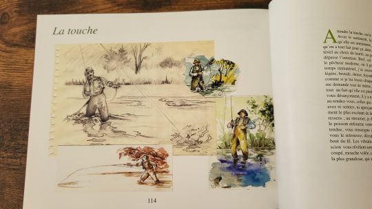 De très belles illustrations