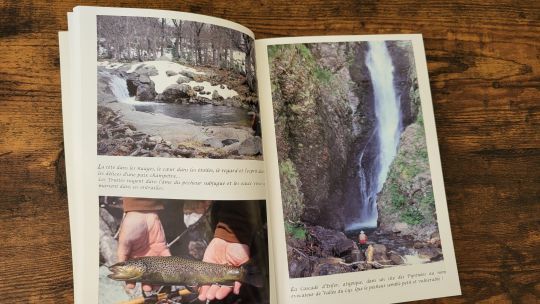 Photos et poésie