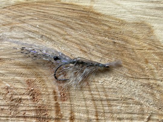 Les bars se nourrissent régulièrement de crevettes et il est bon d'avoir quelques imitations