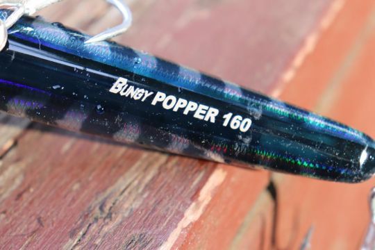Ce popper est utilisable en eau douce comme en mer.