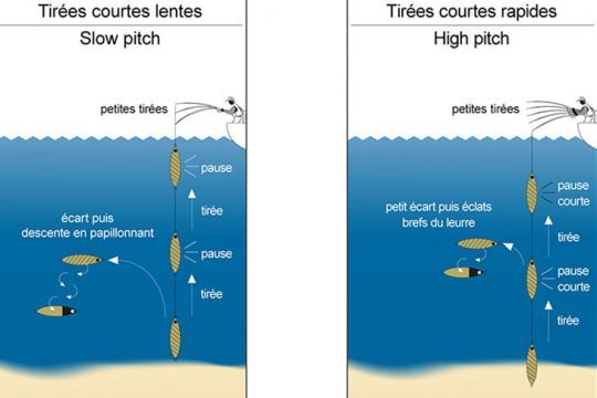 Les animations pour le lieu jaune en slow-jigging