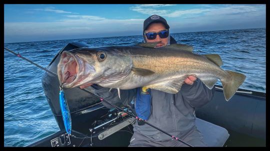 La Sj 706 Im est capable d'animer des jigs de plus de 100 gramme !