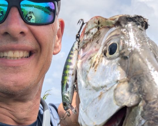 La prise d'un tarpon est toujours un moment unique