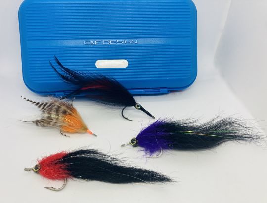 Cockroach, Black Death, Black and purple sont de grands classiques pour la pêche du tarpon