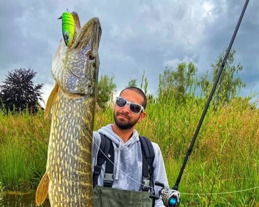 Un joli swimbait pour rechercher les carnassiers