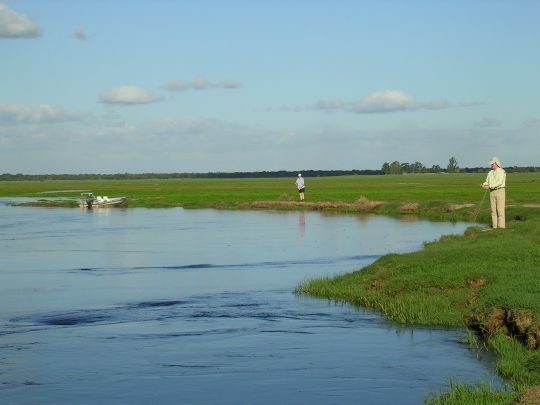 Le dorado peut aussi se pêcher du bord sur certains secteurs et rivières.