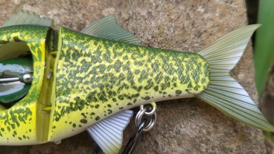 Un leurre polyvalent pour rechercher les carnassiers