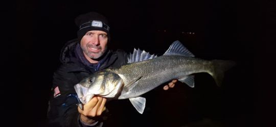Contrairement aux idées reçues, les leurres de couleur sombre sont très efficaces pour la pêche de nuit