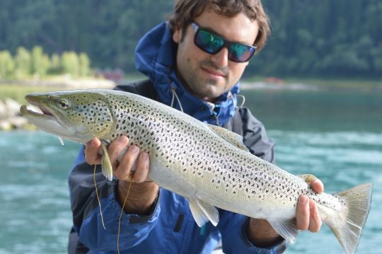 Les grosses truites ont besoins d'un biotope adapté à une croissance rapide