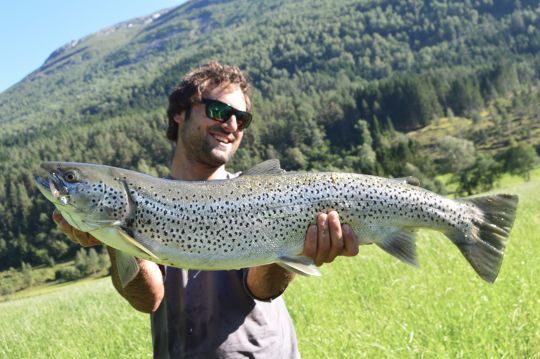 Une très grosse truite de mer capturée au leurre